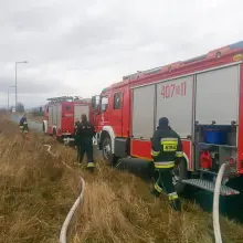 Zobacz zdjęcie: Pożar altanki przy Ekonomicznej