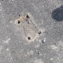 Переглянути фотографію: Автомобілі та сільськогосподарська техніка руйнують новеньку велосипедну доріжку