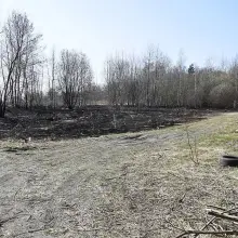 Zobacz zdjęcie: Nowogrodzianka ma apel do wypalaczy traw: zacznijcie od swoich domów!