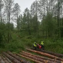 Zobacz zdjęcie: Niemiec z 3-tys. grzywną za wjazd motorem do lasu. Crossowcy musieli zapłacić… 15 tys. zł