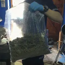 Zobacz zdjęcie: Diler wpadł z prawie 5 kg narkotyków. Jest tymczasowy areszt