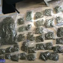 Zobacz zdjęcie: Diler wpadł z prawie 5 kg narkotyków. Jest tymczasowy areszt
