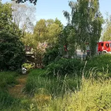 Zobacz zdjęcie: Osieczów: auto spadło z mostu i wpadło do wody. Jedna osoba ranna