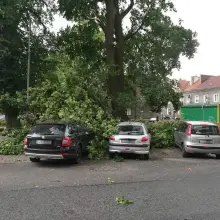 Zobacz zdjęcie: Pada i mocno wieje w Mieście Ceramiki