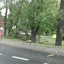 Zobacz zdjęcie: Ulica Widok