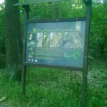 Zobacz zdjęcie: Wandale zniszczyli tablice w lasku przy Jeleniogórskiej