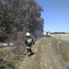 Zobacz zdjęcie: Wywieźli śmieci do lasu i je podpalili
