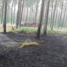 Zobacz zdjęcie: Kolejny pożar lasu