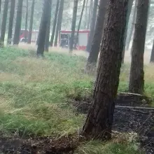 Zobacz zdjęcie: Kolejny pożar lasu