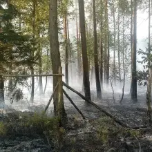 Zobacz zdjęcie: Pożary lasu w Węglińcu. Prawdopodobna przyczyna: podpalenie