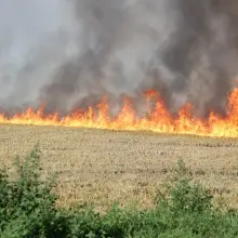 Zobacz zdjęcie: Pożar ścierniska w Kruszynie