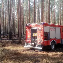 Zobacz zdjęcie: Kolejny pożar lasu i kolejny pożar ścierniska
