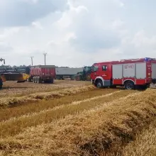 Zobacz zdjęcie: Kolejny pożar lasu i kolejny pożar ścierniska