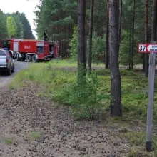 Zobacz zdjęcie: Pożar lasu w okolicach Wierzbowej. Akcja gaszenia ognia trwała ponad dobę