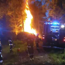 Zobacz zdjęcie: Pożar lasu w Tomaszowie