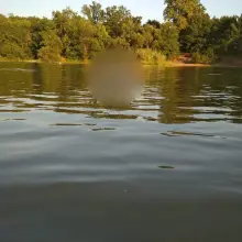 Zobacz zdjęcie: Jezioro Zabobrze tylko dla wędkarzy!