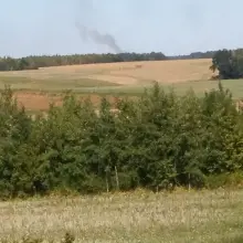 Переглянути фотографію: Пожежа в лісі поблизу Okmiany
