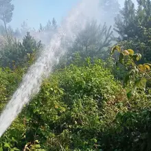 Переглянути фотографію: Пожежа в лісі поблизу Okmiany