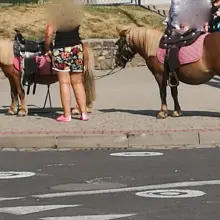 Zobacz zdjęcie: Horror kucyków