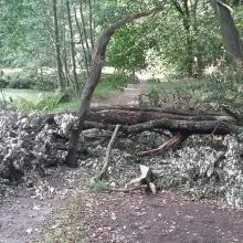 Zobacz zdjęcie: Niebezpiecznie przy Jeleniogórskiej