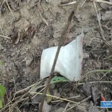 Zobacz zdjęcie: 90 gramów amfetaminy ukrył w… chaszczach
