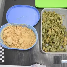Zobacz zdjęcie: Diler wpadł z 4 tysiącami porcji różnych narkotyków i 300 tabletkami ecstasy