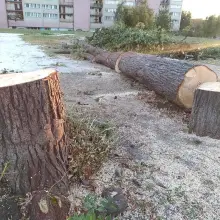 Zobacz zdjęcie: Wycięli 19 drzew na Popiełuszki. Rusza budowa hotelu