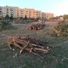 Zobacz zdjęcie: Wycięli 19 drzew na Popiełuszki. Rusza budowa hotelu