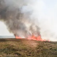 Zobacz zdjęcie: Płonące wrzosowiska na poligonie