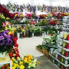 Zobacz zdjęcie: Asortyment Cer Far