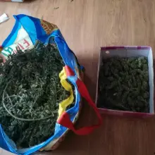 Zobacz zdjęcie: Nastolatek wpadł z dwoma… kilogramami marychy