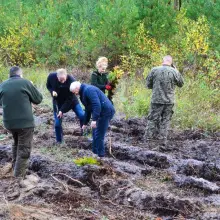 Zobacz zdjęcie: Gmina Osiecznica: Akcja sadzenia drzew z okazji 100-lecia Odzyskania Niepodległości