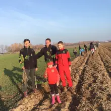 Zobacz zdjęcie: Czerna: posadzili 100 lip dla Niepodległej