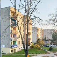 Zobacz zdjęcie: Usunęli niebezpieczne drzewo na Dolnych Młynach. Czytelnik: „Ręce opadają”