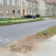 Zobacz zdjęcie: Zdjęcie z 16 listopada