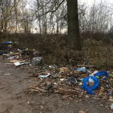 Zobacz zdjęcie: Uwaga! Będzie wielkie sprzątanie Kolonii Staszica