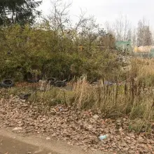 Zobacz zdjęcie: Uwaga! Będzie wielkie sprzątanie Kolonii Staszica