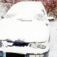 Zobacz zdjęcie: Strażnicy miejscy odnaleźli skradzionego volkswagena