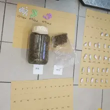 Zobacz zdjęcie: Wpadł z kilogramem (!) marychy i 66 tabletkami ecstasy. Diler aresztowany
