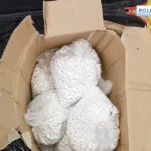 Zobacz zdjęcie: Zabezpieczyli 29 tys. tabletek do produkcji narkotyków. Dwie osoby aresztowane