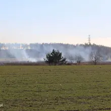 Zobacz zdjęcie: Pożar nieużytków koło Łazisk