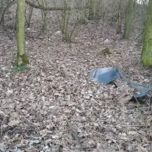 Zobacz zdjęcie: Syf w lasku pod Bolesławcem