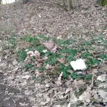 Zobacz zdjęcie: Syf w lasku pod Bolesławcem