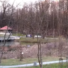 Zobacz zdjęcie: Wypadek w Leśnym Potoku