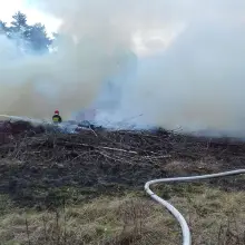 Zobacz zdjęcie: Pożar między Brzeźnikiem a Mierzwinem