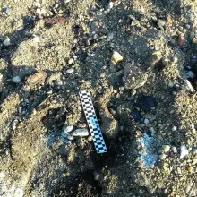 Zobacz zdjęcie: Czwartkowa akcja saperów