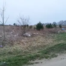 Zobacz zdjęcie: Syf w Dobrej