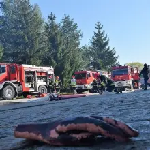 Zobacz zdjęcie: Alarm pożarowy w 23 Pułku Artylerii