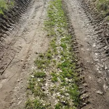 Zobacz zdjęcie: Kto wywozi żwir z nad Bobru w Otoku?