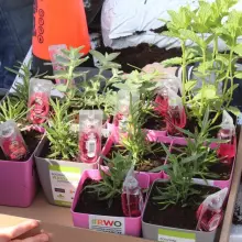 Zobacz zdjęcie: Przedszkolaki w PSB Mrówka